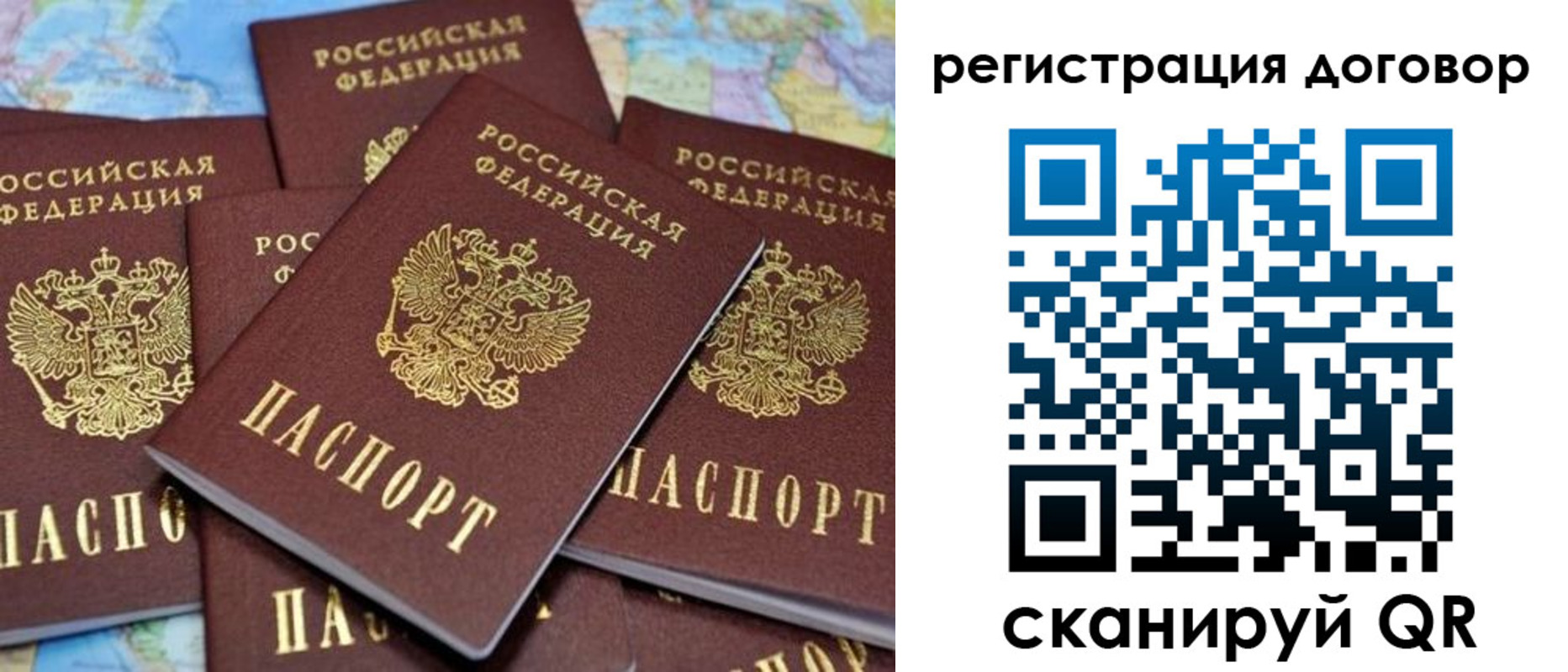 прописка гарантия в Солнечногорске